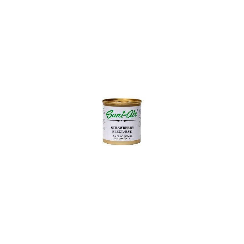 Lata Sani Air Strawberry - Fresa